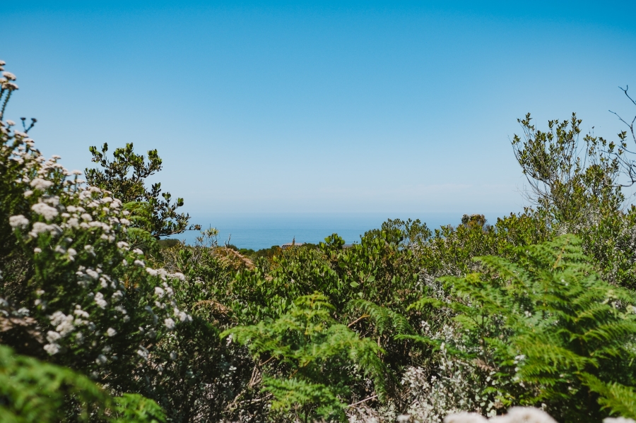 0 Bedroom Property for Sale in Pezula Private Estate Western Cape